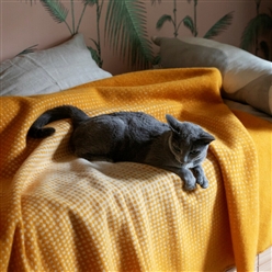 Bilde av Juhannus Pledd