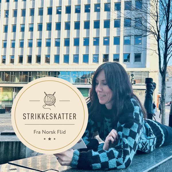 Strikkeskatt nr. 2003